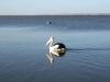 Australien 2004-044 Australien 2004-044
